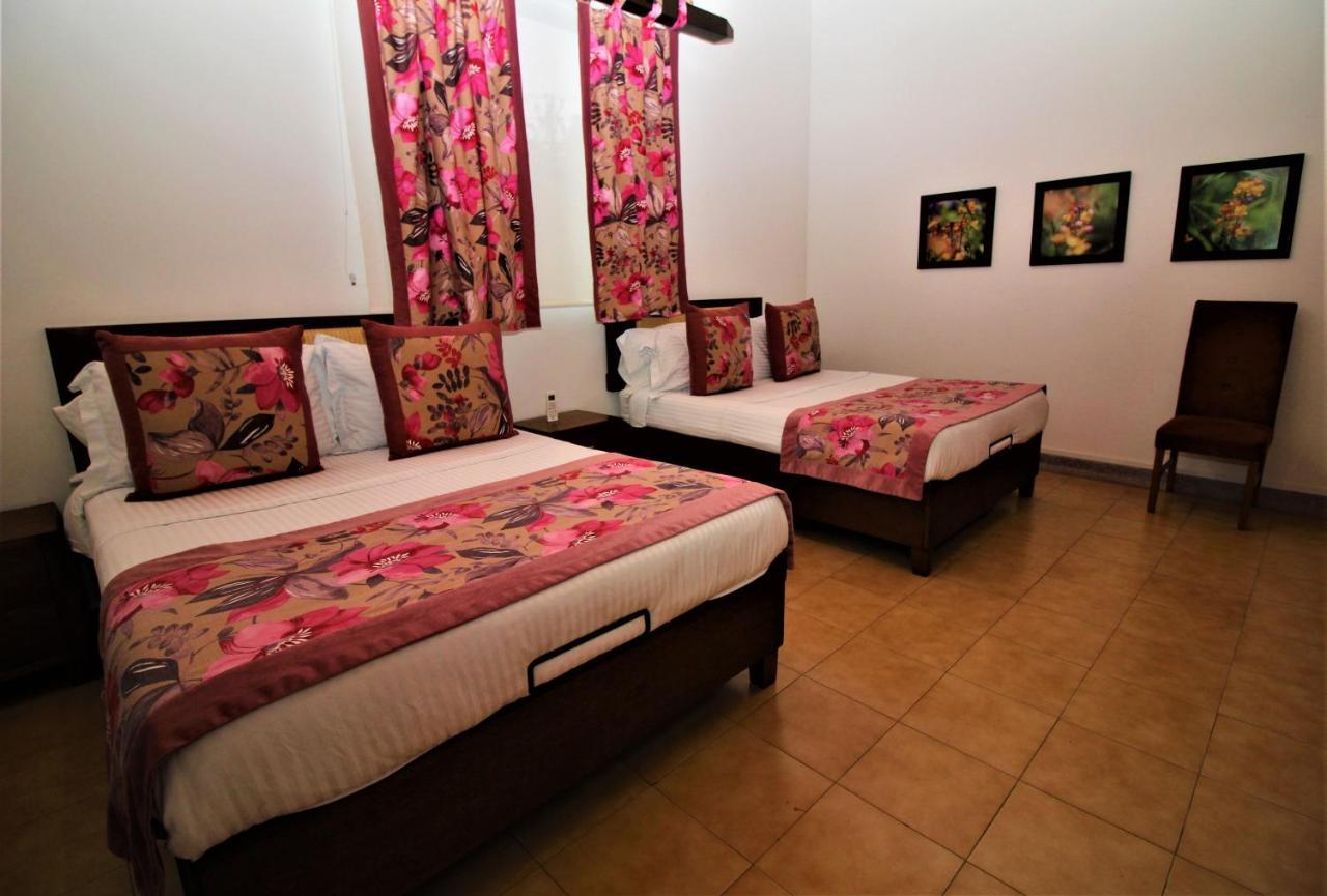 Amazilia Hotel Cerritos Екстериор снимка